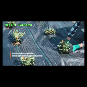 Black Weed Block Fabric Roll Water Permeable Garden Covering Material Blocks Weeds Allows Water Covers Garden Free Nails Promo Available Sizes 1x10M 1x20M 1x50M 1x50M 1.5x50M 2x100M 3x100M