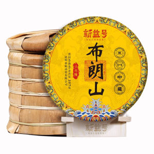 XINYIHAO | Aged Six-Year Puer Ripe Tea Brick Ancient Tree