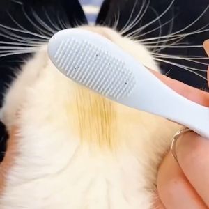 Borammy Disposable Foam 400ml Dry Bath Foam Pet Dry Cleaning for Dogs and Cats Anti Tick and Flea Shampoo Cleaning Foam