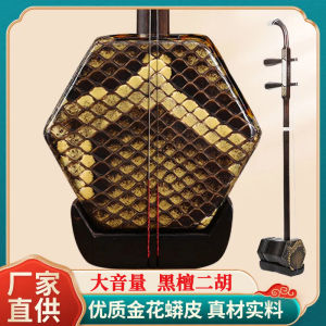 Professional Performance Grade Erhu Black Ebony Beginner Level Instrument Six Corner Shape for Students And Performances