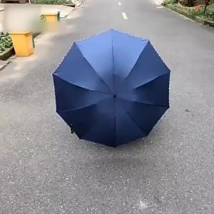 10 Ribs Large Folding Sunshade Umbrella