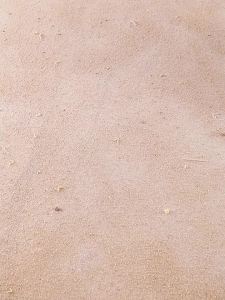 JOYBOS | Bộ Chổi Quét Nhà và Đồ Hốt Rác