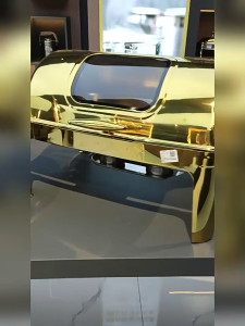 LENODI Golden Chafing Dish Set 9L Commercial Buffet Oven Interior Visible Alcohol Heating Suitable for Hotel Banquets