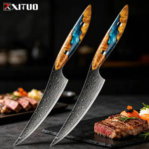 XITUO Steak Knives 1-4PCS Damascus Steel Sharp Japanese Kitchen 5 Inch Utility Knife for CookingResin & Stabilized Wood Handle