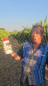 ดินเน่า3ขวดแถมผงแร่ภูเขาไฟ ปราบมาร1ซอง ปรับสภาพดิน กู้ดิน ของแท้ ส่งฟรี ส่งไว