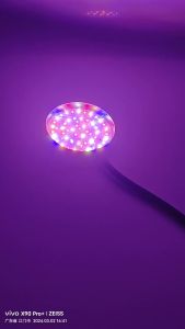 💗🙋‍♀️💗智能花盆USB桌面植物夜灯LED生长灯全光谱植物灯多肉补光灯