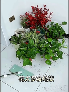 Outdoor Balcony Iron Flower Pot Rack Wall Mounted Plant Flower Pot Rack Hanger Flower Rack Garden Decoration