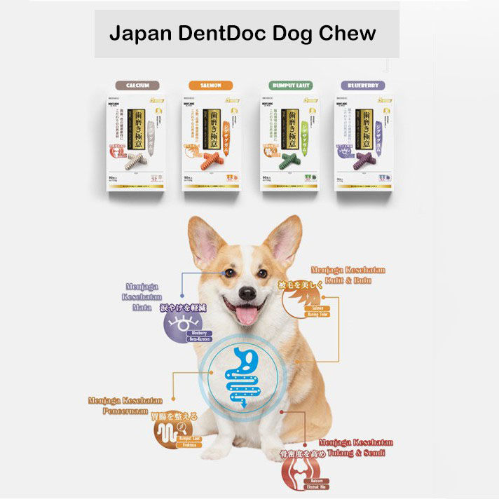 DentDoc Dog Teeth Grinding Stick/Dog Snacks/Dog Teeth Grinding And Cleaning Bone/Dog Strips 1pcs（16g）