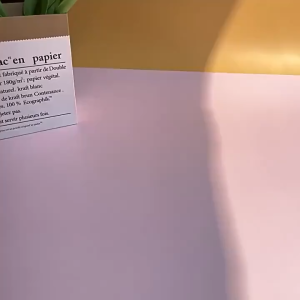 Set 1 Box 24Pcs Gantungan Kunci Cartoon Blind Box Mystery Surprise Box Keychain Anime Gift Keyring