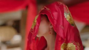 USB China Drama 苏染染追夫记 + 医妃难囚 华语中字 Chinese subtitle 大陆剧