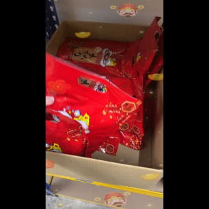 CNY BBQ Jerky Minced Pork/Chicken Bakkwa 500g新年必备烧烤肉干碎肉/鸡肉干