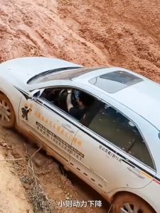 Chief Ternary Engine Catalytic Converter Cleaner Engine Booster Cleaner Catalytic Converter Cleaner / 三元催化器清洗剂