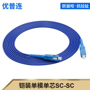 Armored Fiber Optic Jumper SC to LC-FC-ST Single-Mode Single-Core Multi-Mode Four-Core Optical Brazing Wire Mouse-Proof Tensile Waterproof Optical Cable 3 M5/8/10/20/50/100 M Telecom-Grade Pigtail Jumper