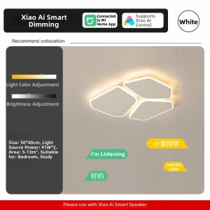 Geometric Modern LED Ceiling Light