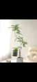 [WITH FREE GIFT] Albizia Julibrissin Artificial Plant Artificial Tree Free Planter Basket Free Plastic Plant Pot Indoor Plant Indoor Decoration Home Decor Fake Plant Tree Decor Tall Plant Pokok Hiasan Pokok Palsu Plant Decor Living Room Entrance Office. 