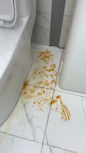 Chổi Chà Sàn Đa Năng 2 IN 1