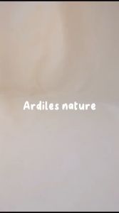 Ardiles Nature Glintz Sandal Jepit Wanita Karet Bling Antislip