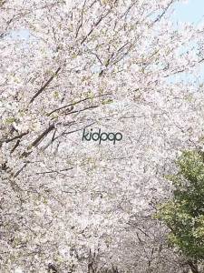 kidpop | Xe Đạp 3 Bánh Cho Trẻ 2-4 Tuổi