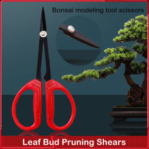 ⭐️【Local warehouse+COD】⭐Grape Pruning Scissors Stainless Steel Long Pointed Garden Scissors Gardening Tools And Equipment Bonsai Tools Farm Tool
