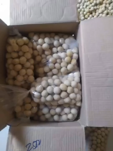 Tahu Bulat Mentah Ciamis Tasik Asli – Cocok untuk Usaha & Cemilan – Fresh dan Enak