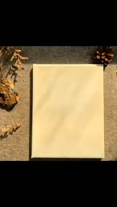 10 PCS/SET Mẫu lá phong mùa thu Mẫu tranh rỗng PET