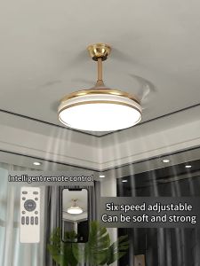 Smart Ceiling Fan Light Frequency Conversion Invisible Fan Blades Pendant Lamp Living Room 42 Wind Lights