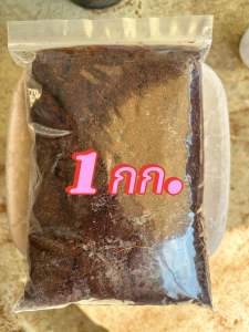 ขุยมะพร้าว ล้างสารแทนนิน และหมักไตรโคเดอร์มาเรียบร้อย นำไปเพาะปลูก ตัดตอนกิ่ง นำไปผสมดินปลูกได้เลย