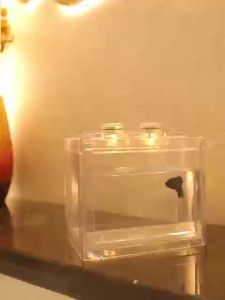 Bể Cá Thủy Sinh Hình Khối Bằng Nhựa Tiện Lợi Lắp Ráp Có Kích Nhỏ Gọn Đáng Yêu