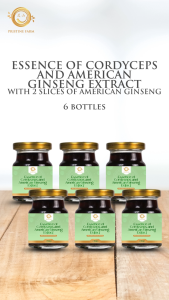 6 x 70g Cordyceps & American Ginseng Essence ★ Energy Stamina & Wellness Support ★