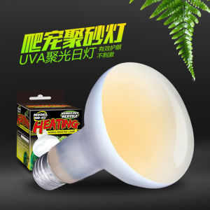 Turtle Sun Back Lamp UVA Heating Lamp Tortoise-Shaped Lamp Insulation Heating Lamp Lizard Guard Palace Crawler Day Lamp Soft Light Type