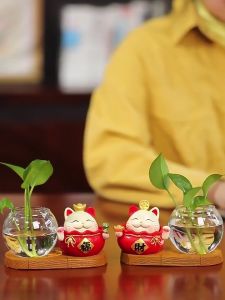 Chậu Trồng Cây Thủy Sinh Mini Để Bàn Làm Việc Kèm Tượng Chú Mèo Thần Tài May Mắn Lạc Quan Vui Vẻ