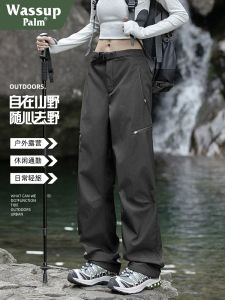 Waterproof Outdoor Casual Straight Leg Pants Lightweight Breathable Couples Style Outdoor Camping Travel Gear Palm2025