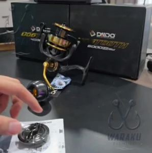 Daido - Reel Dogtooth Saltwater - Reel Pancing