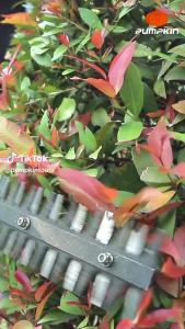 เครื่องตัดแต่งพุ่มไม้ไร้สาย 20V Brushless Motor ขนาด 14นิ้ว รุ่นใบโค้ง 50387 / INF-C14CHB (รับประกัน 1ปี)