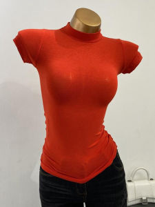 Áo Thun Cổ Cao Nửa Cổ Phong Cách Hàn Quốc Dành Cho Nữ Áo Thun Ngắn Tay Trong Suốt Ôm Vừa Vặn Co Giãn Màu Trơn Bên Trong Gợi Cảm Áo Ngực To