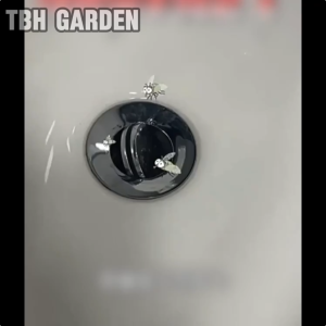 Kills Insects and Eggs Eliminates at the Source TBH Drain flies killer 500ML drain insect killer household sewer toilet pipe pesticides can kill moth flies cockroac下水道小飞虫灭杀神器