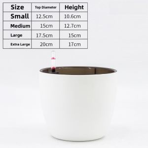 Square Plastic Flower Pot Automatic Water Absorption Green Ivy Plant Pots Special Large Diameter Small Size Desktop Gardening