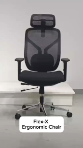 FLEX-X Ergonomic Mesh Office Chair High Back Adjustable Headrest & Lumbar Support Computer Desk Chair Executive Home Office