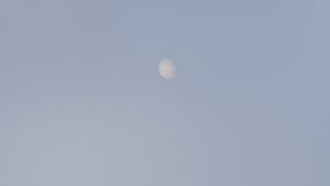 ECO-YAP FRESH MILK UHT 6 UNIT