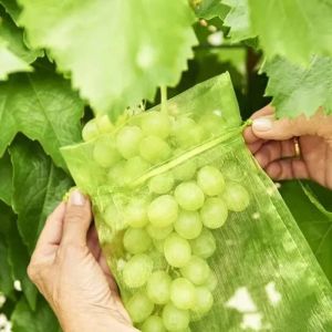 50Pcs Large Fruit Protection Netting Bag / Drawstring Pouch / Pest Control & Anti-Bird Mesh Bag / Vegetable Strawberry Grape Covers