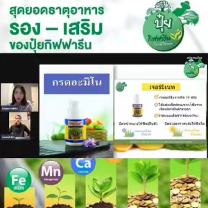 ปุ๋ย ปุ๋ยกิฟฟารีน ปุ๋ยน้ำ แช่เมล็ดก่อนเพาะ ราดเมล็ดข้าวก่อนหว่าน ชุบท่อนพันธ์ุต่างๆ ก่อนลงปลูก เจอร์มิเนท กรดอะมิโน 19ชนิด ละลายน้ำง่าย เพิ่มผลผลิตไว ไม่อุดตันหัวฉีด ของแท้ ส่งฟรี