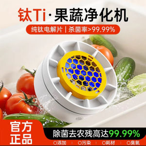 Pure Titanium Electrolysis Vegetable Fruit Washer Multi-Function Automatic Ingredient Purifier Machine for Kitchen Appliances