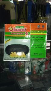 Benih semangka Big Maduri F1