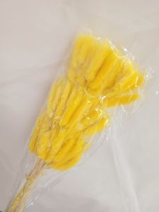 10 PCS * Dried Flower Bunny tails / Bunga Kering Ekor Kelinci *