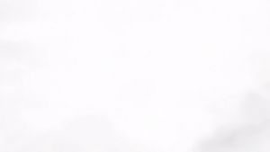 กลยุทธ์ Simsa 4ฟุต 5ฟู 6ฟู มุงกันยุง มิตรฝัง สมุด หุ้น กล้องปัง ราคาถูก ร่วมกันแมลง