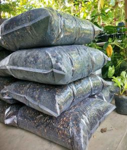 sekam bakar/pupuk alami/media tanam