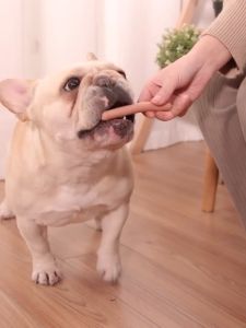 YAHO ไส้กรอกแฮม เกรดพรีเมี่ยม ไส้กรอกสำหรับสัตว์เลี้ยง 2รส ให้เลือก สูตรโซเดียมต่ำ ไขมันต่ำ