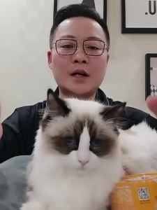 Thức Ăn Ướt Bổ Sung Nước cho Mèo Lớn và Mèo Con 24 Hộp