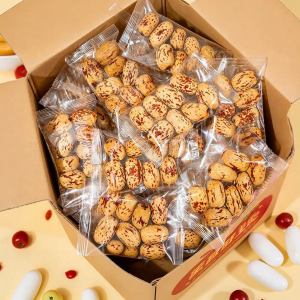 WENXIANGZAN | Convenient No-Core De-pitted Xinjiang Jujubes Super Grade