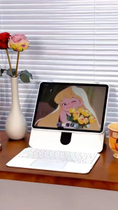 Magnetic Detachable Case for iP A16 / iP 11th Gen 2025 with Pencil Slot 360° Adjustable Stand Trackpad Keyboard